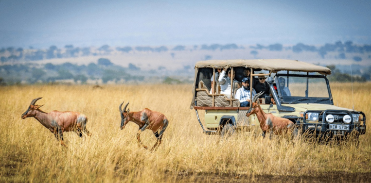 Setback for KWS as court slams breaks on new park entry fees