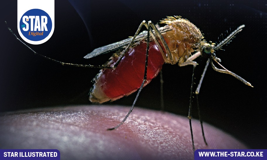 Malaria hotspots: Countries with the highest number of cases