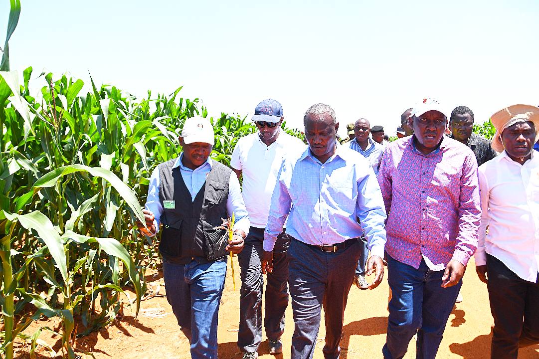 Govt bets on irrigation to secure Kenya’s food future