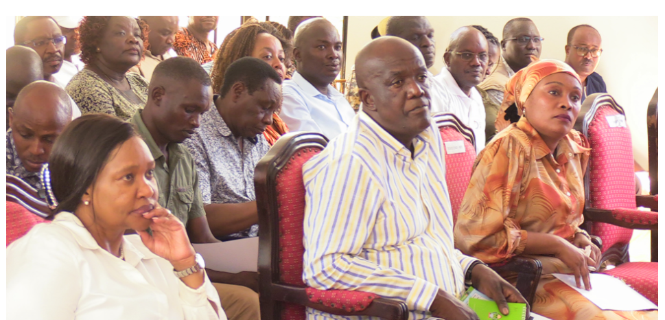 Kenya prepares for more airlines as licensing process streamlined