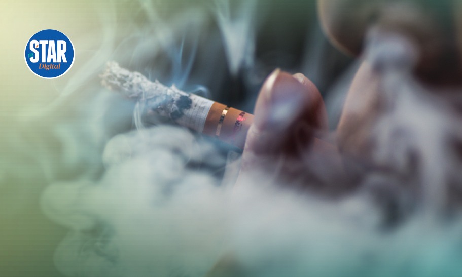Global number of tobacco users (millions)