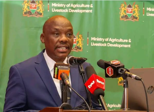 Tea farmers to get Sh2.7bn refund as part of bonus after State directive
