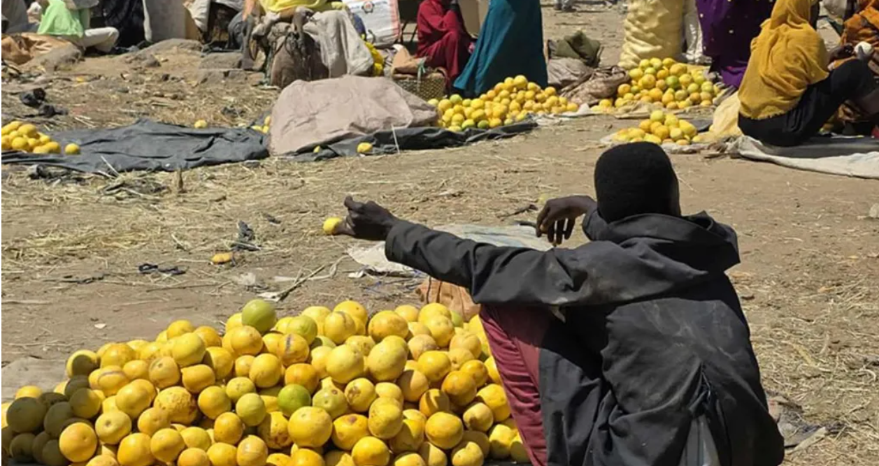 Sudan's fertile region where food is rotting