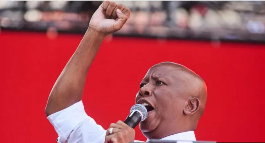 Malema convicted of firing a gun in public