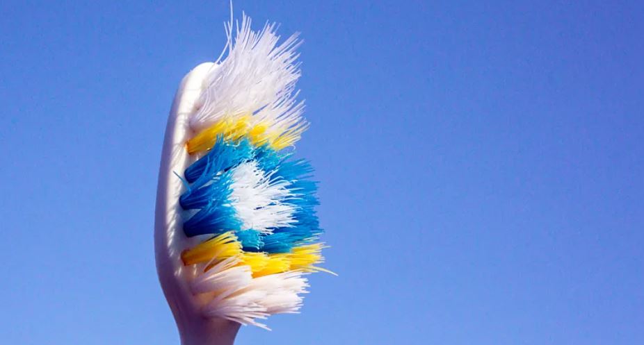 Your toothbrush is bristling with bacteria