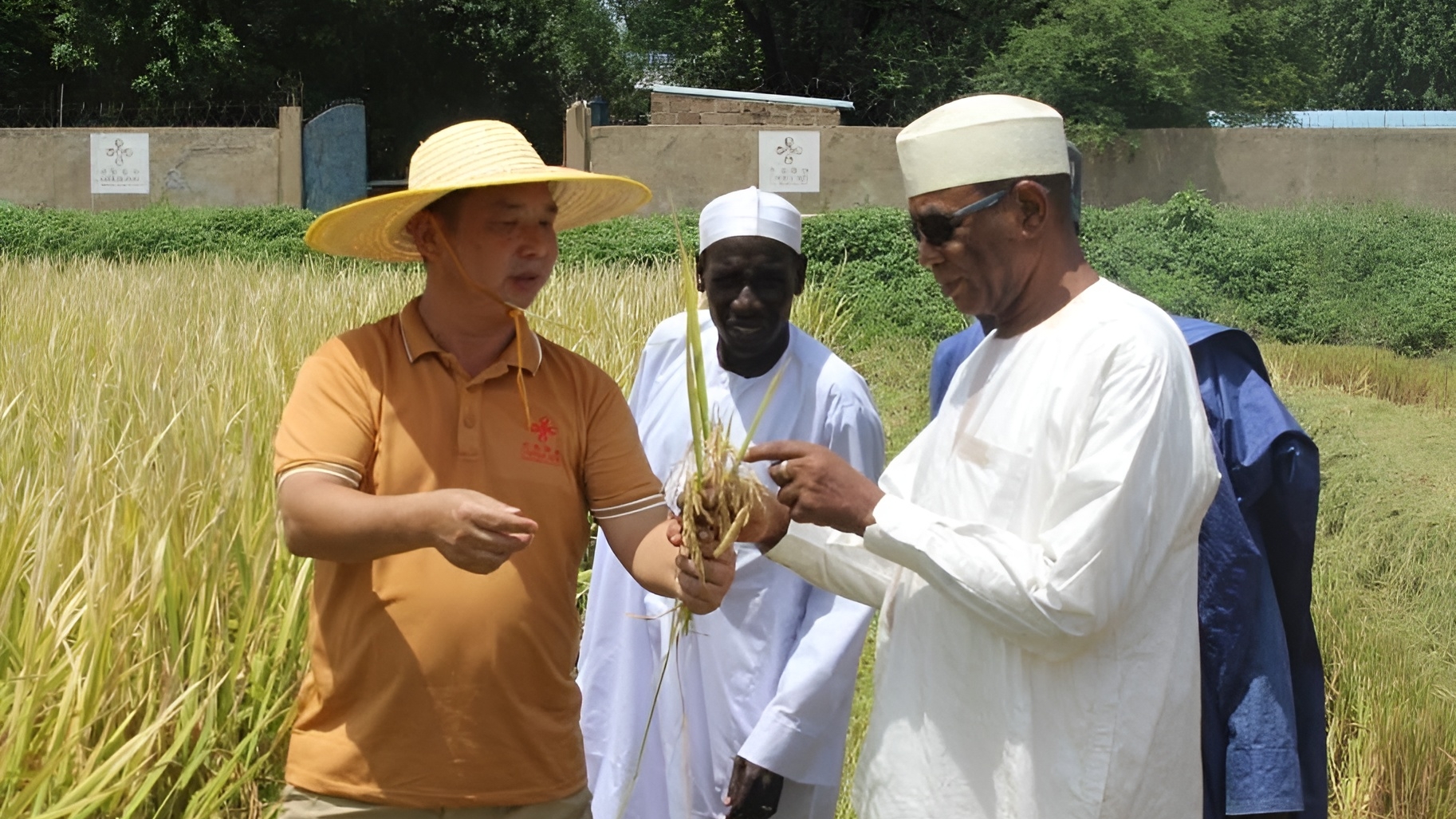 China Yasaidia Chad Kuongeza Uzalishaji wa Chakula