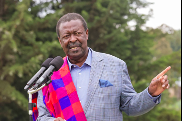 Mudavadi: Strength of shilling depends on tea exports