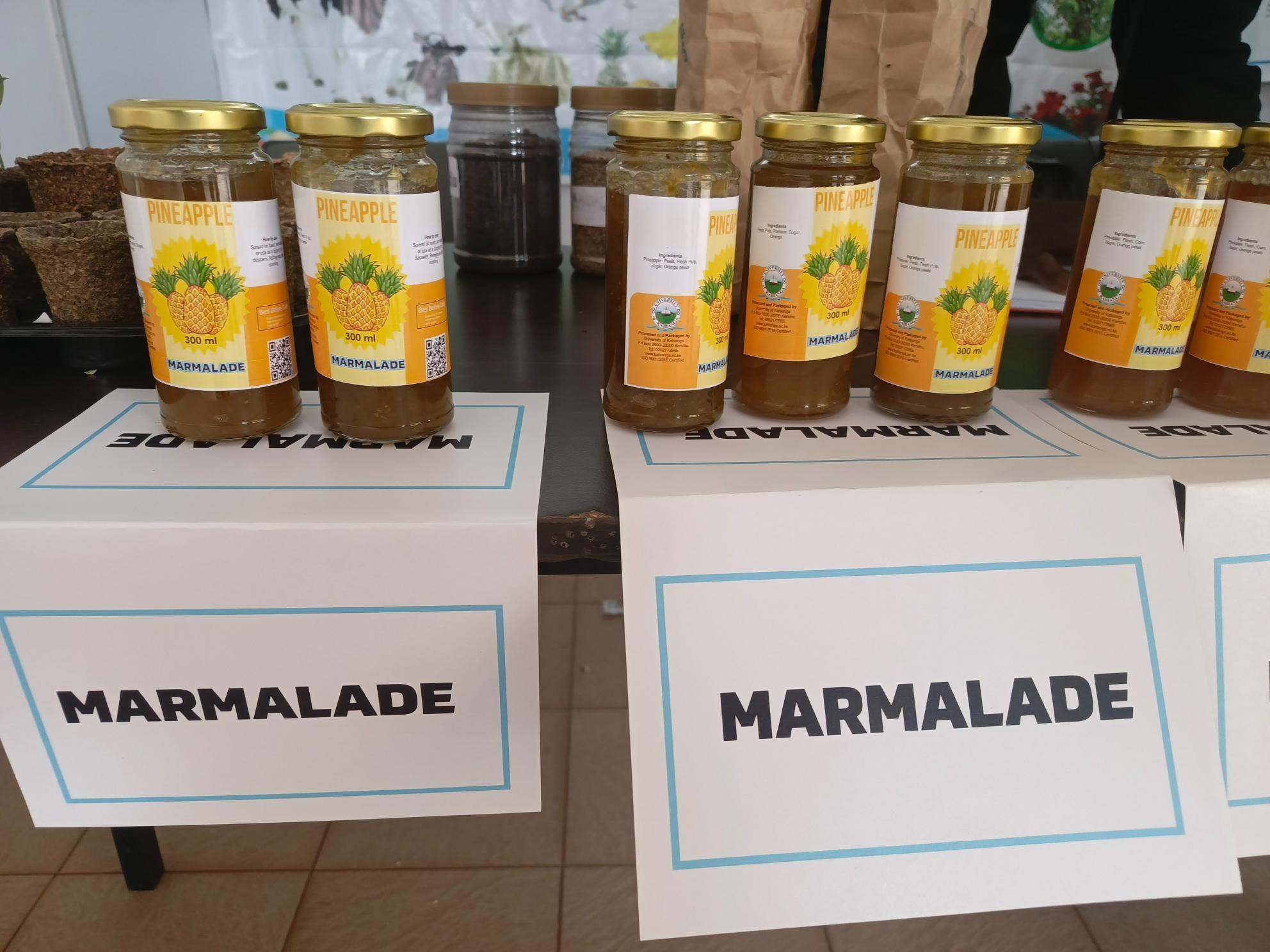 Kabianga student turns pineapple waste into eco-friendly products