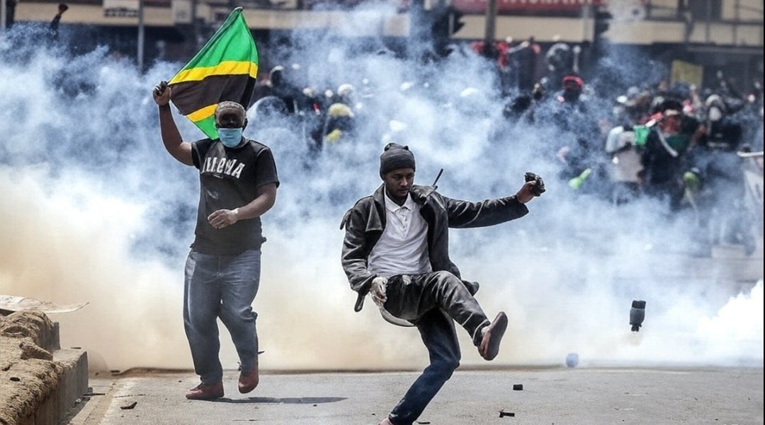 Mob stones cops as TZ descends into poll chaos