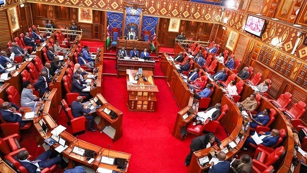 Parliament in fresh bid to enact elusive gender law