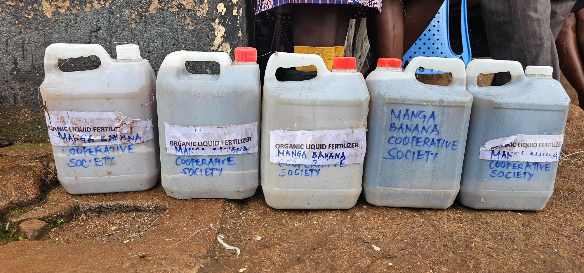 Nyamira women turn banana waste into profitable venture