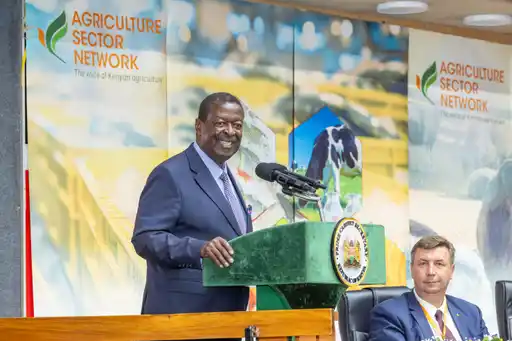 Mudavadi: Kenya must go digital to revolutionise Agriculture