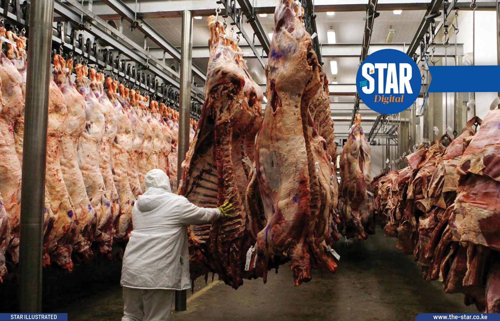 The biggest exporters of beef in the world