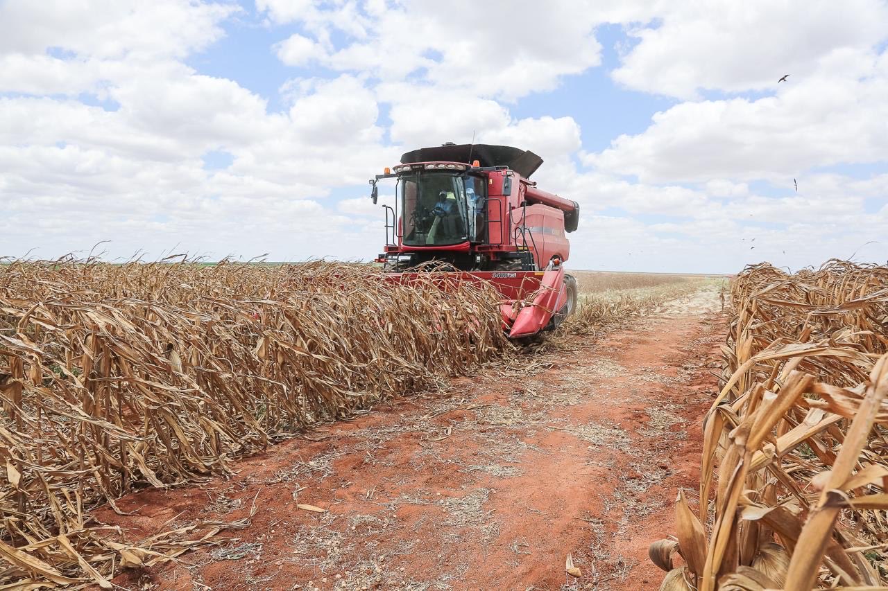 You have three weeks to harvest and dry crops, weatherman tells farmers
