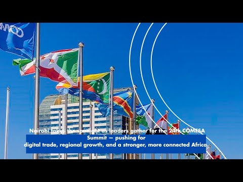 Explainer: 24th Comesa Summit