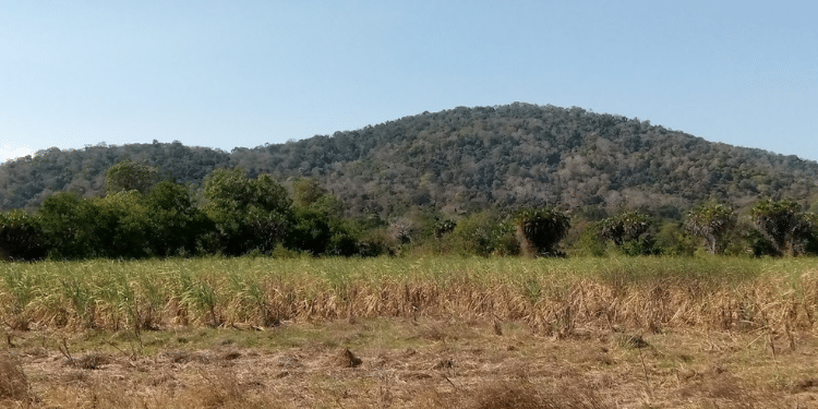 Kenya's rare earth minerals a new battle field for global power play