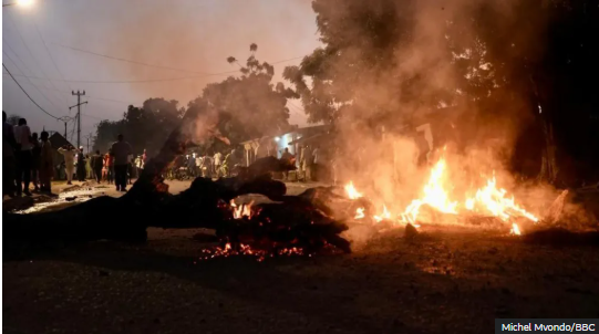 Four killed in Cameroon protests