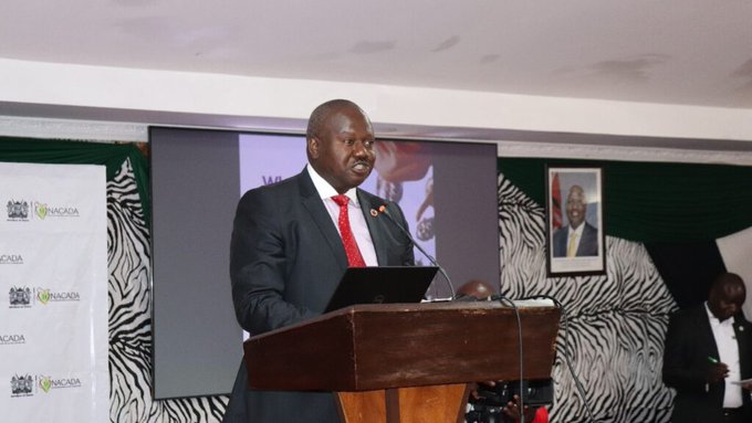 Kenya raises alarm on synthetic drug ‘havoc’, shifting trafficking trends