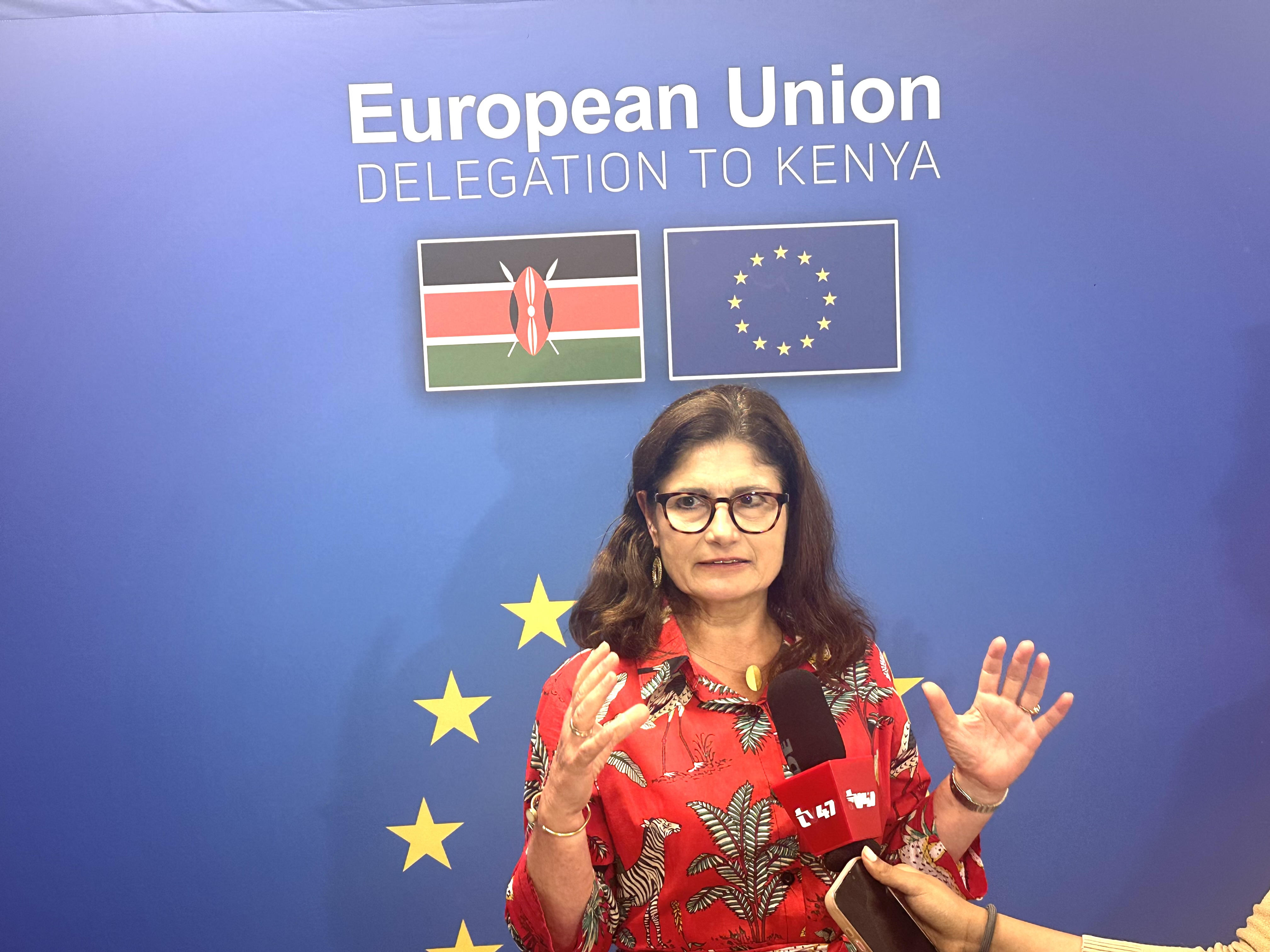 EU envoy proposes trade corridors as Kenya, Uganda feud over Indian Ocean