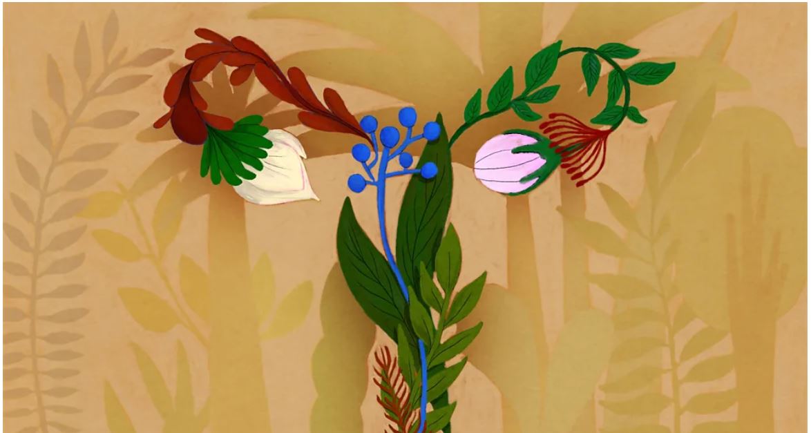 How bacteria in the vagina can improve health
