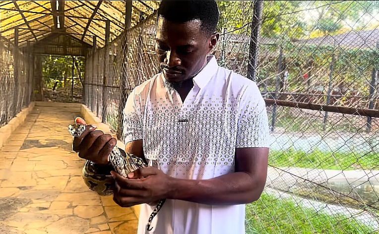 ‘A Snake Is What Brings Me Money’: Chief Godlove’s Confession