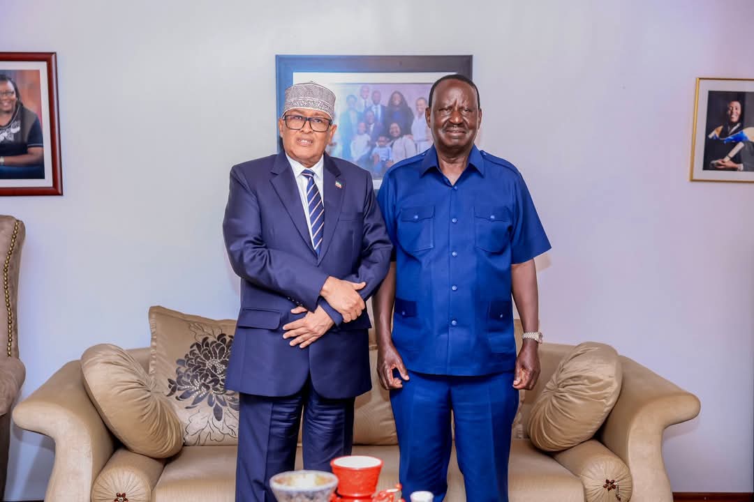 OMAR: Raila: The man who recognised Somaliland