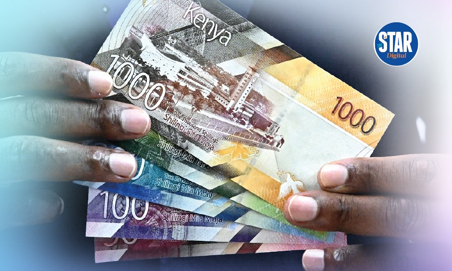 How the shilling performed in 2025, what to expect in 2026