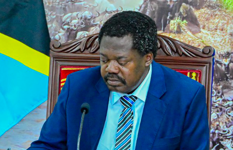 DP Nchimbi: Suluhu ready for dialogue