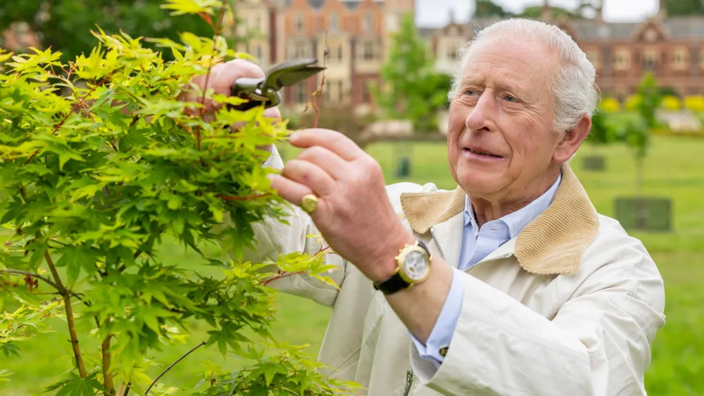 New photo released for King's 77th birthday
