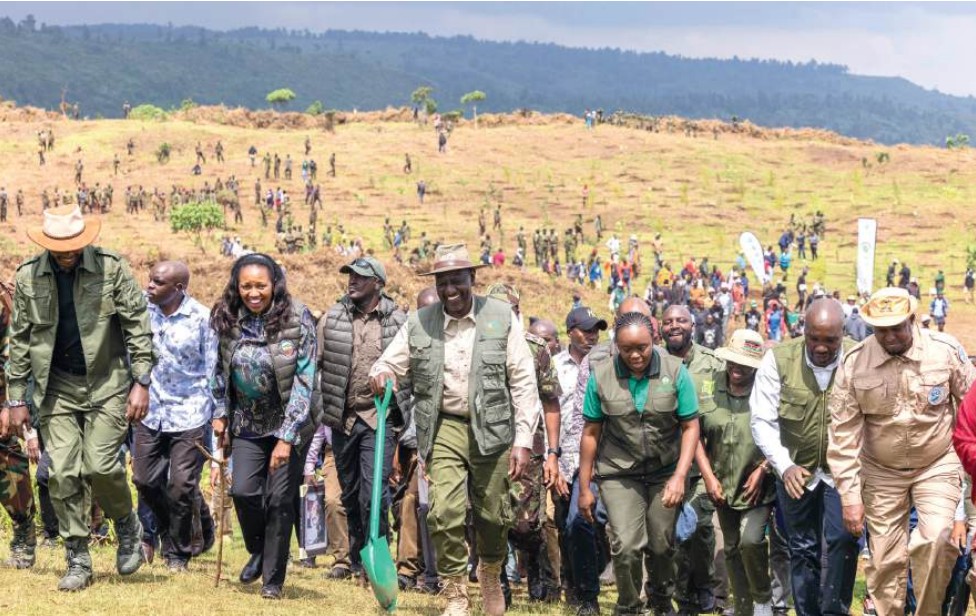 MWAMISI: Restoring Mau Forest a patriotic national project