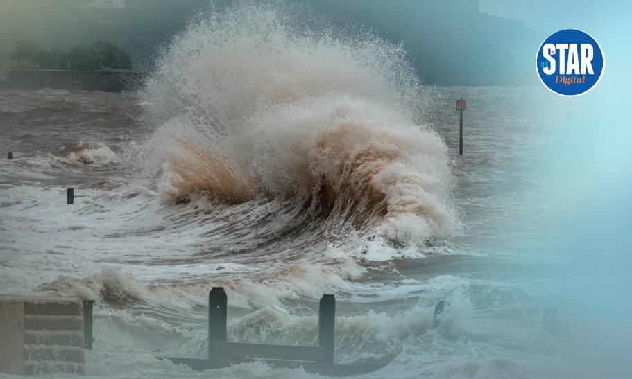 World Tsunami Awareness Day: What you need to know