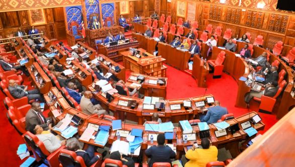 Parliament: Senate sets stage for Nyaribo ouster trial