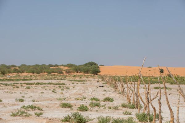 Report: Land degradation threatens global food security