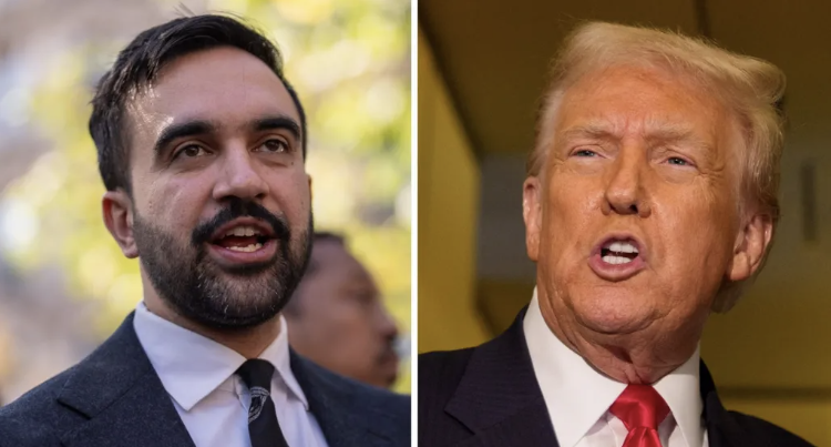 Trump backs Cuomo for New York City mayor