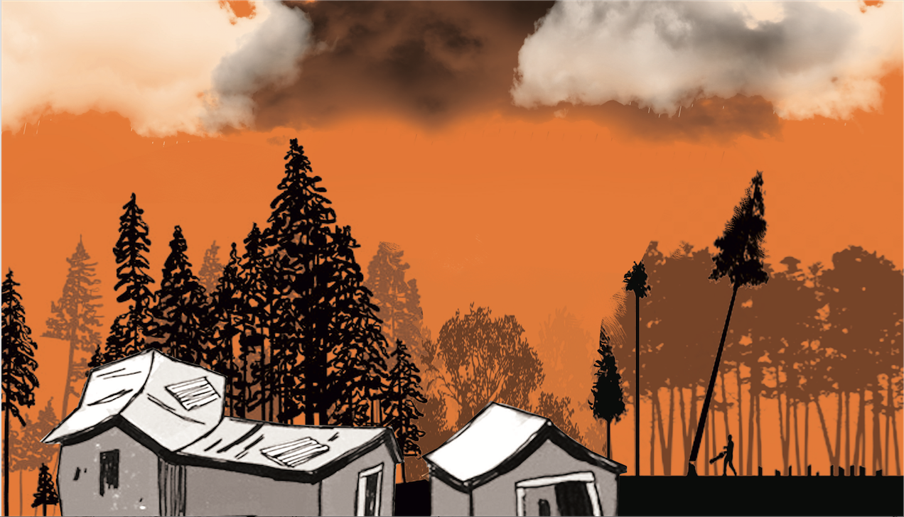 MATIKU: If we reward illegal forest occupation, where does it end?