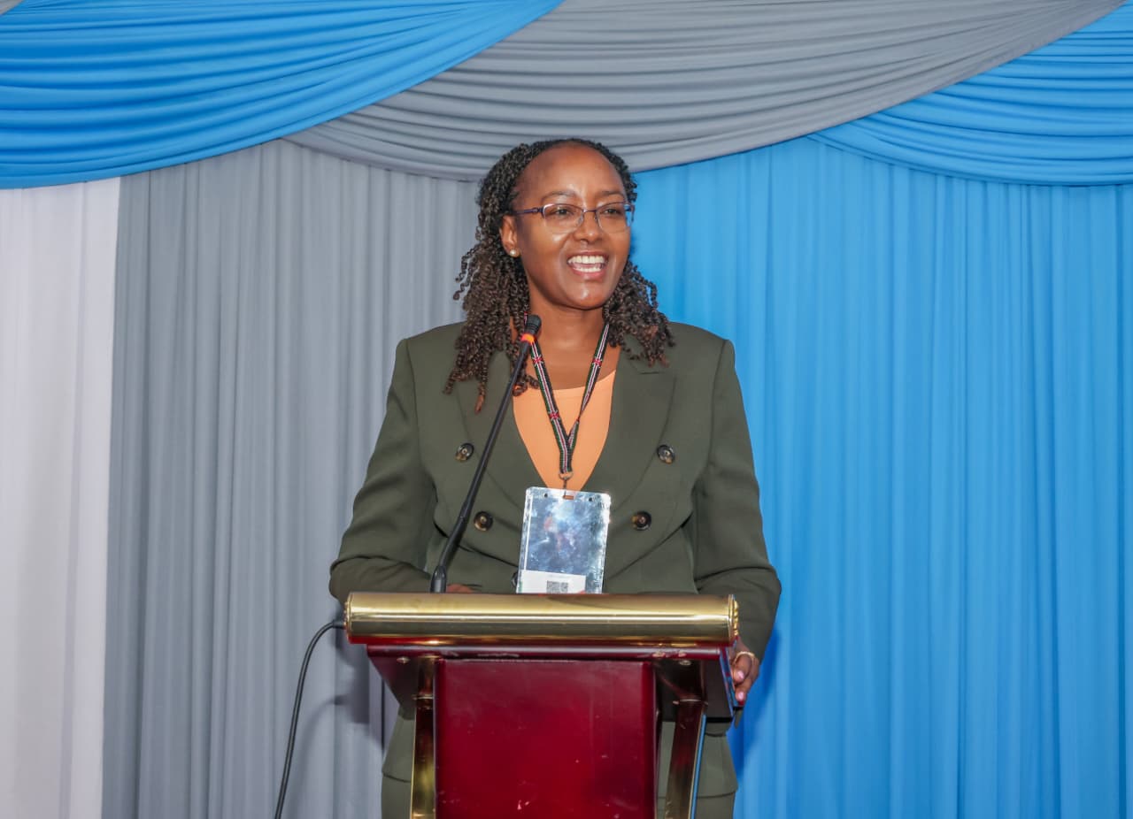 Africa urged to shape global standards to lead clean energy