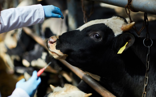 AU, partners unite to strengthen veterinary medicine oversight across Africa