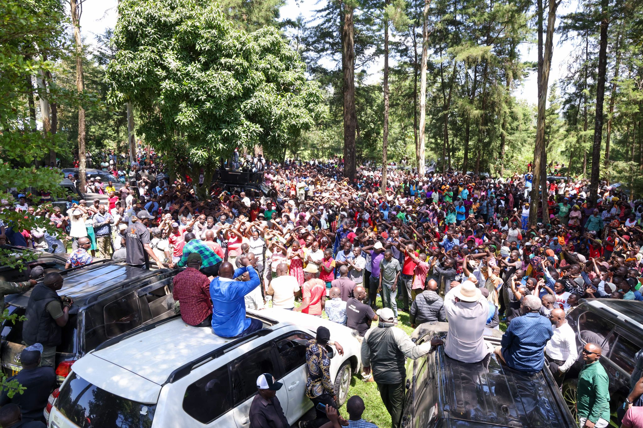 Bigwigs take over: By-elections turn into early 2027 power showdown