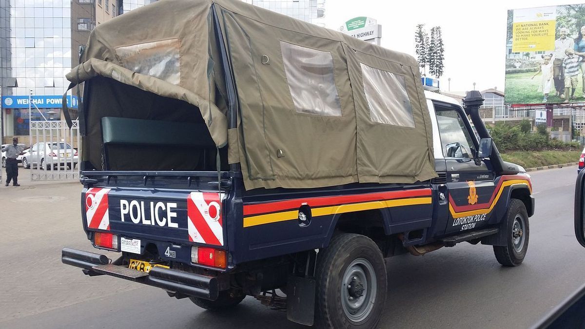 Housegirl vanishes with employer’s pistol, cash