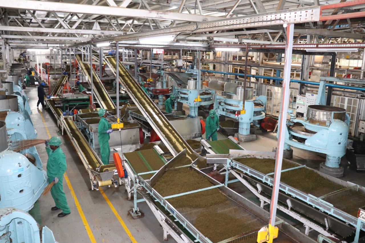 Kenya unveils major expansion in Orthodox Tea production
