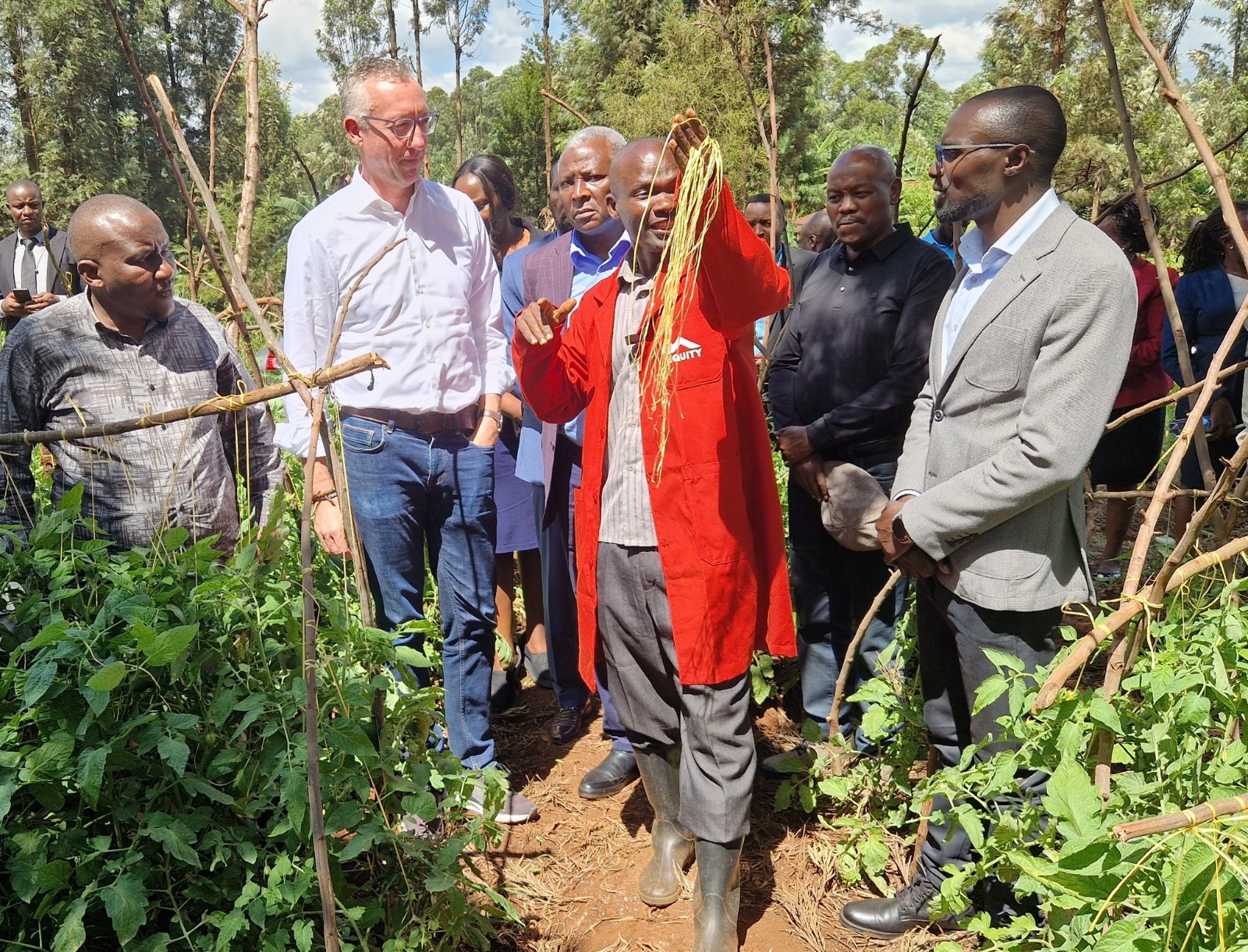 Mt Kenya farmers reap big from state project