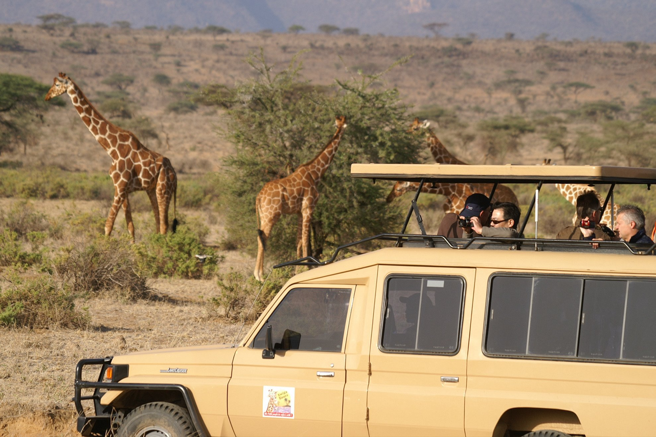 Multiple fees to hurt Kenya's tourism appeal