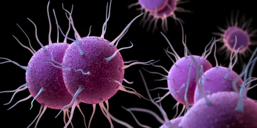 More countries report rising levels of drug-resistant gonorrhoea, says WHO