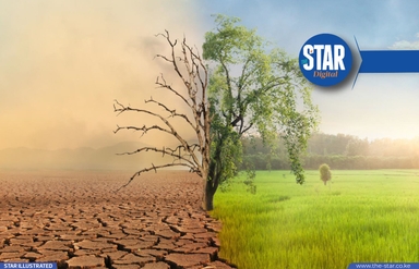 How climate change shaped Kenya’s 2025 harvest