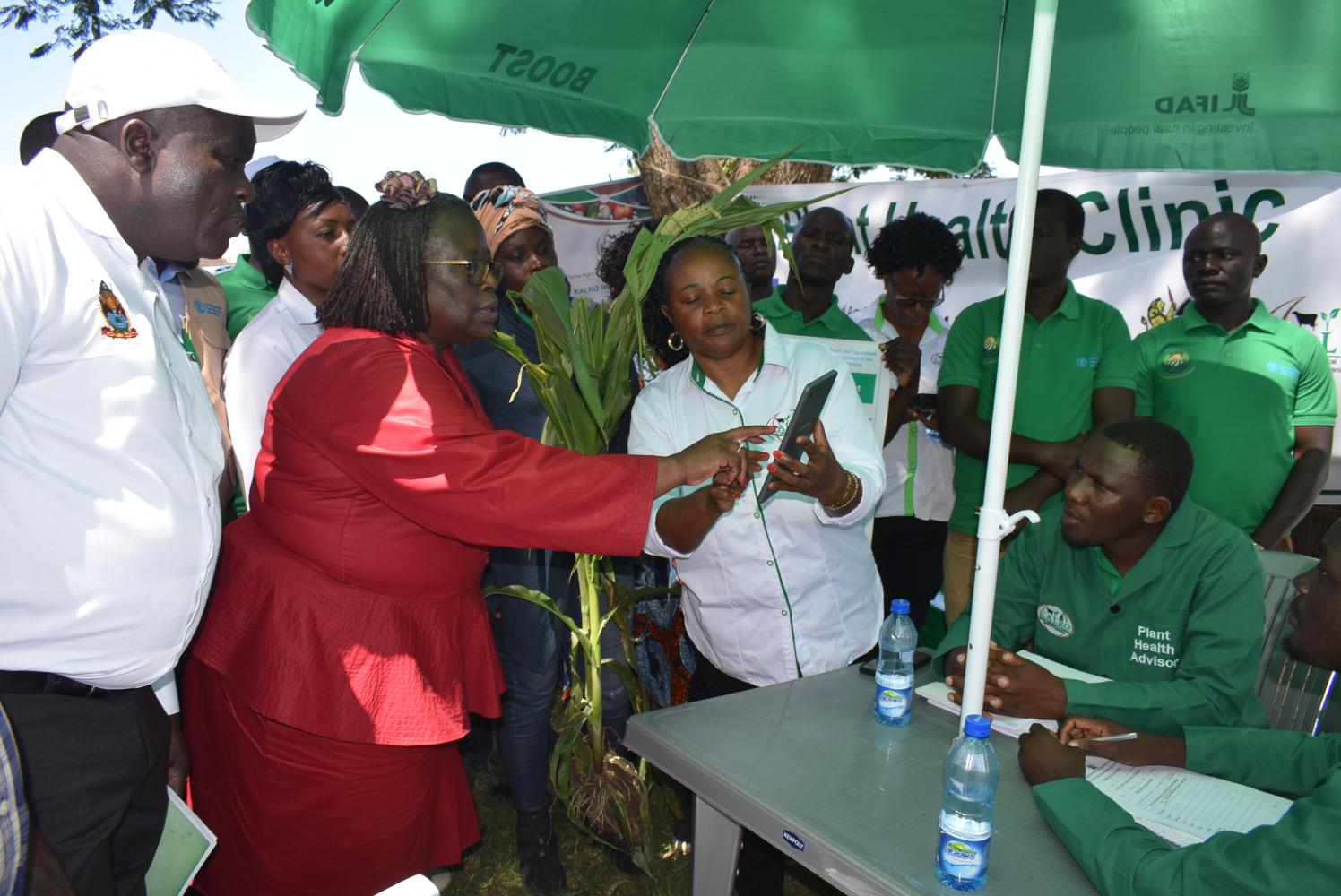 Kalro’s pest control project to benefit 40,000 farmers in 5 counties