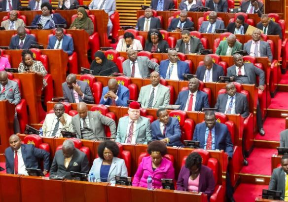 Parliament this week: Child funding drive, fertility reforms & MPs mourn landslide victims