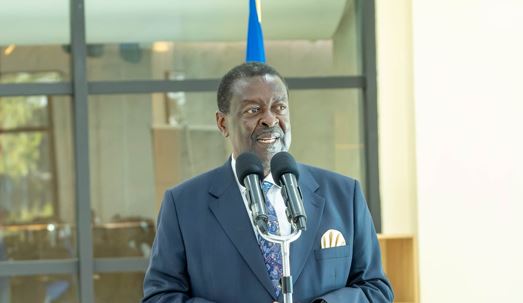Mudavadi: Diaspora cash inflows exceed Sh1tn