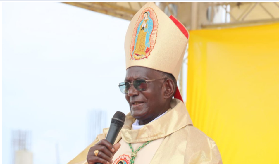 How Sulumeti handled delicate Bomas discussion on power sharing