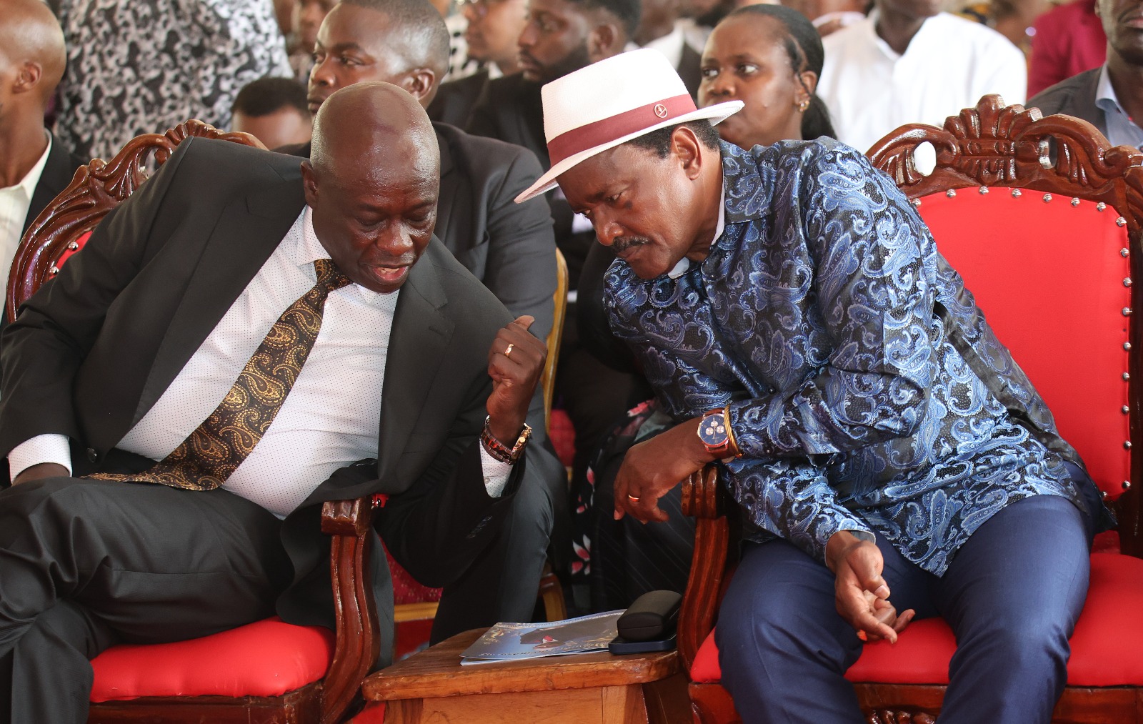 United Opposition taps into ODM wrangles in fresh push to expand base