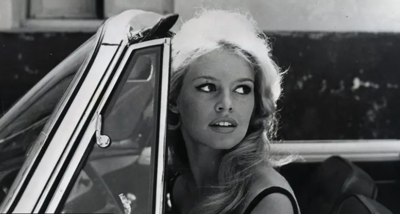 French actress Brigitte Bardot dies aged 91